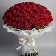 Букет 101 Красная роза Блэк Мэджик #REPLACE_PRED# Чудово