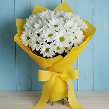 Букет цветов из:  Хризантемы в Чудово