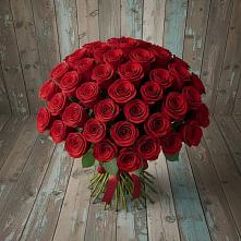 Букет 55 Красных роз Фридом #REPLACE_PRED# Чудово