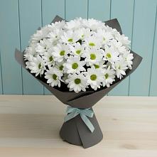 Букет цветов из:  Хризантемы #REPLACE_PRED# Чудово