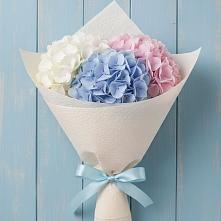 Букет цветов из:  Гортензия #REPLACE_PRED# Чудово
