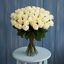 Букет 51 Белая роза Эдлесс Лав #REPLACE_PRED# Чудово