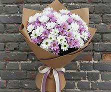 Букет цветов из:  Хризантемы в Чудово