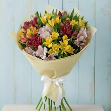 Букет цветов из:  Альстромерии в Чудово