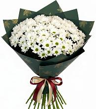 Букет цветов из:  Хризантемы в Чудово