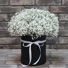 Цветочная композиция из Гипсофила в шляпной коробке в Чудово