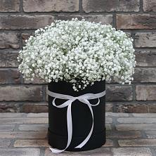 Цветочная композиция из Гипсофила в шляпной коробке в Чудово