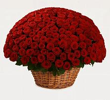 Премиум букет из: Розы #REPLACE_PRED# Чудово