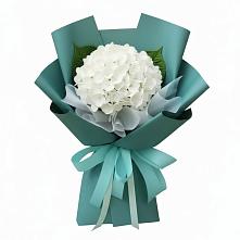 Букет цветов из:  Гортензия #REPLACE_PRED# Чудово
